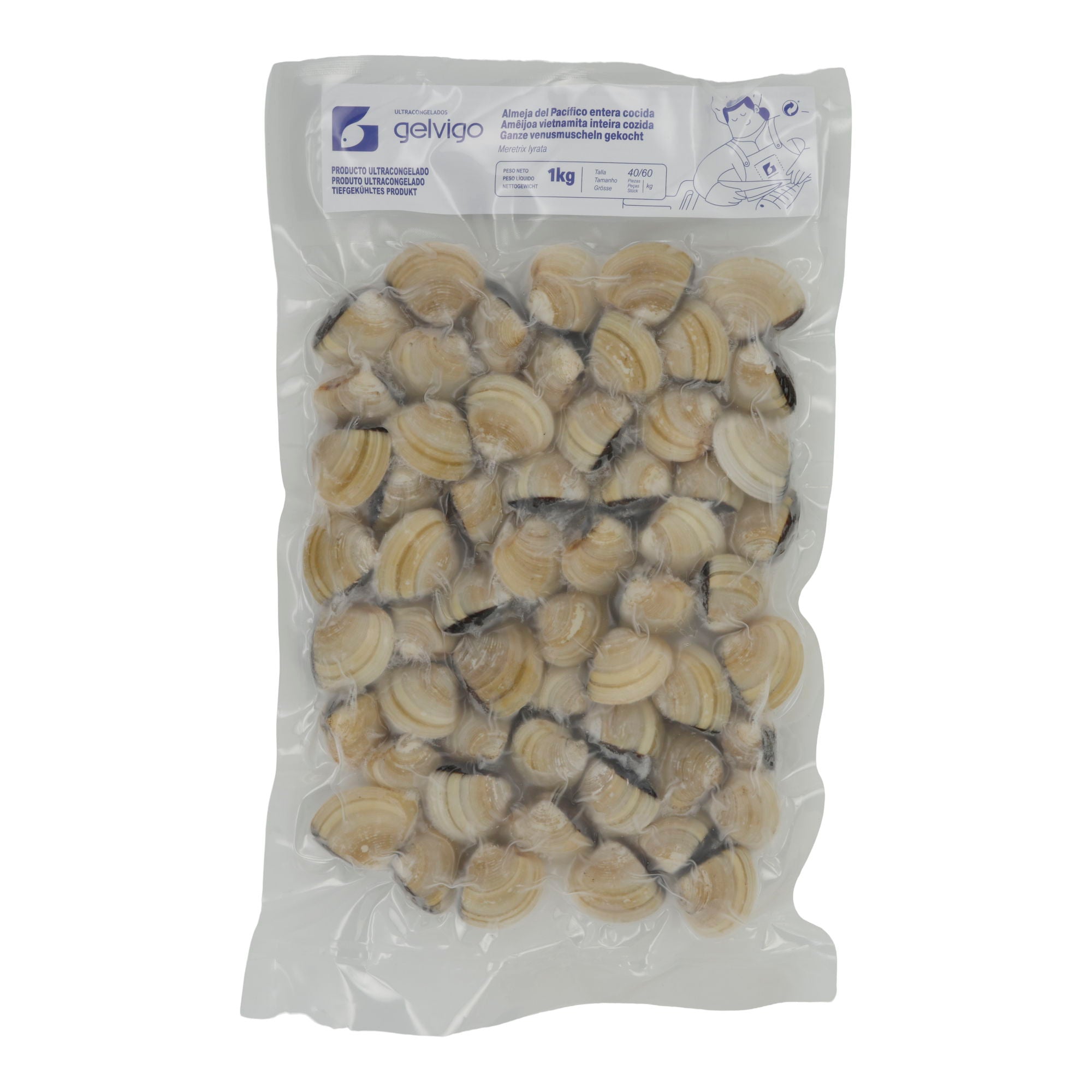 Muscheln Gelvigo | Venusmuscheln gekocht | Almeja del Pacífico entera cocida | 1 kg Beutel (48/60 Stück) BRASMAR